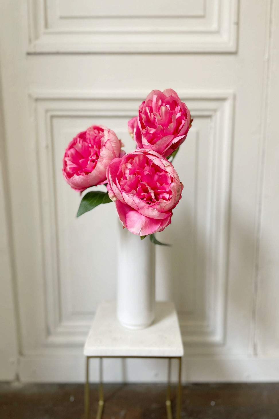 pivoine rose vif