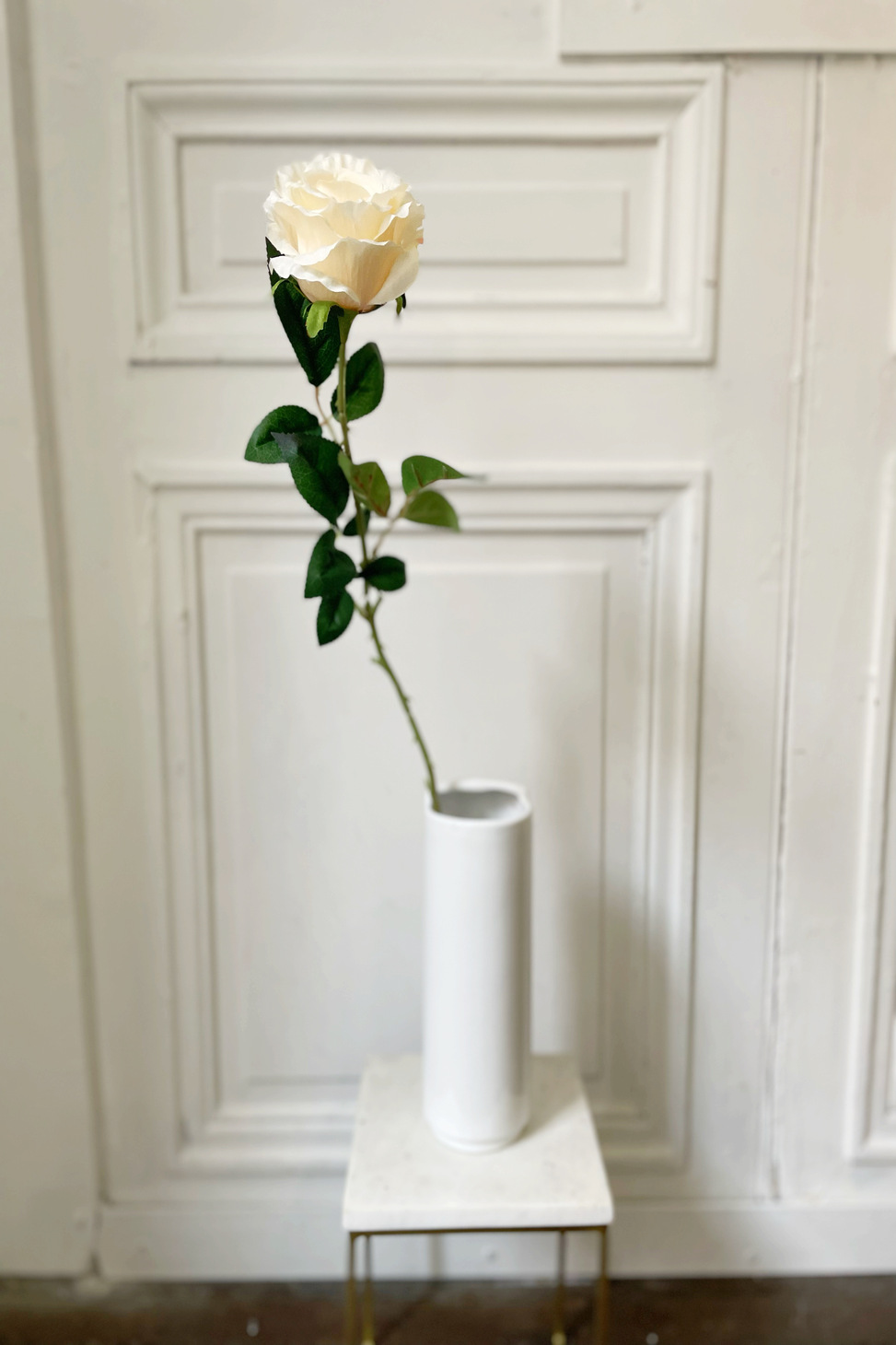 rose classique creme