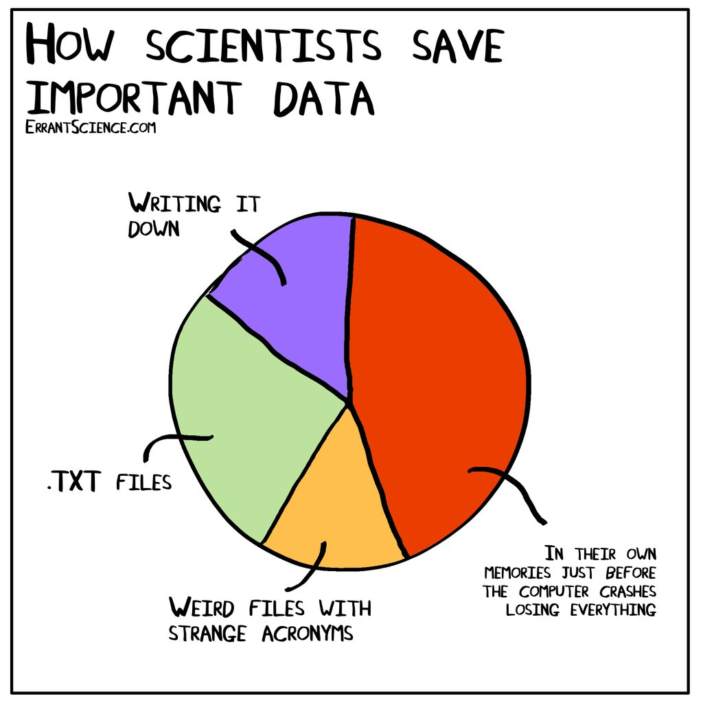 How scientists save important data. Each part of the pie chart says the following: writing it down, .txt. files, weird files with strange acronyms, and in their own memories just before the computer crashes, losing everything.