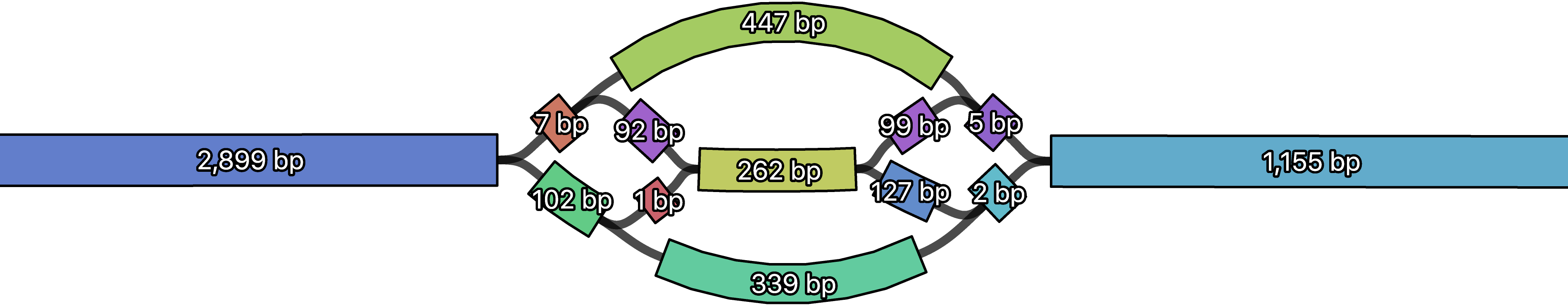 Short contigs in assembly graph