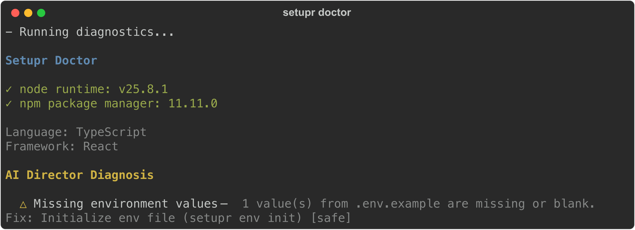 setupr doctor