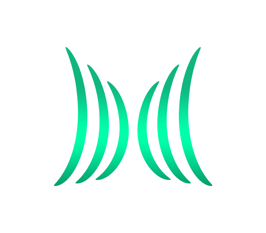 MAC PMS logo