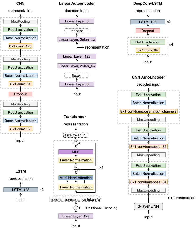 backbone_networks