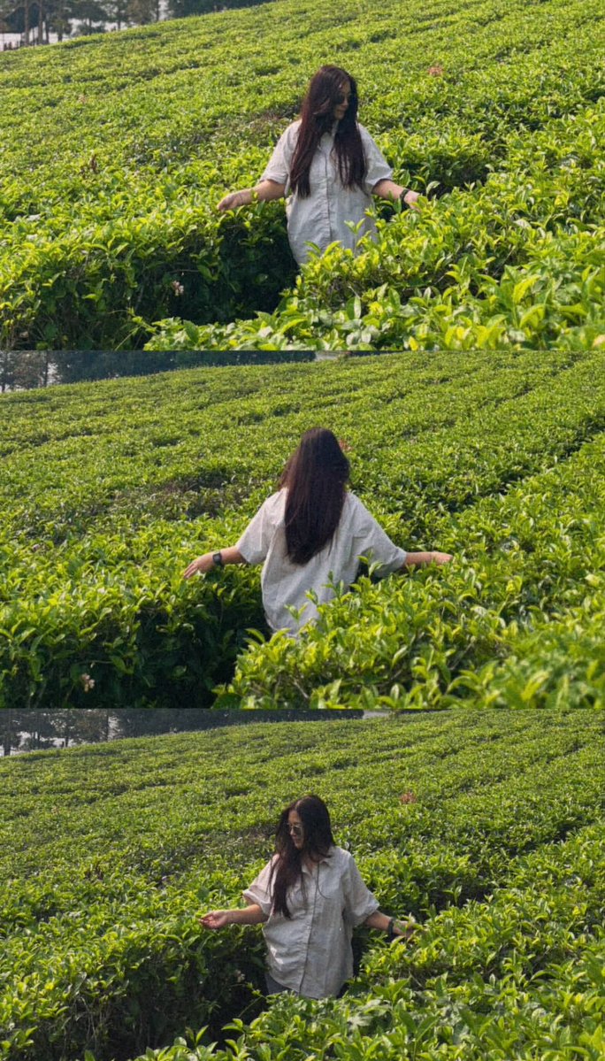 GPT-Image-2 Prompt Example - Tea Estate Storybook Collage