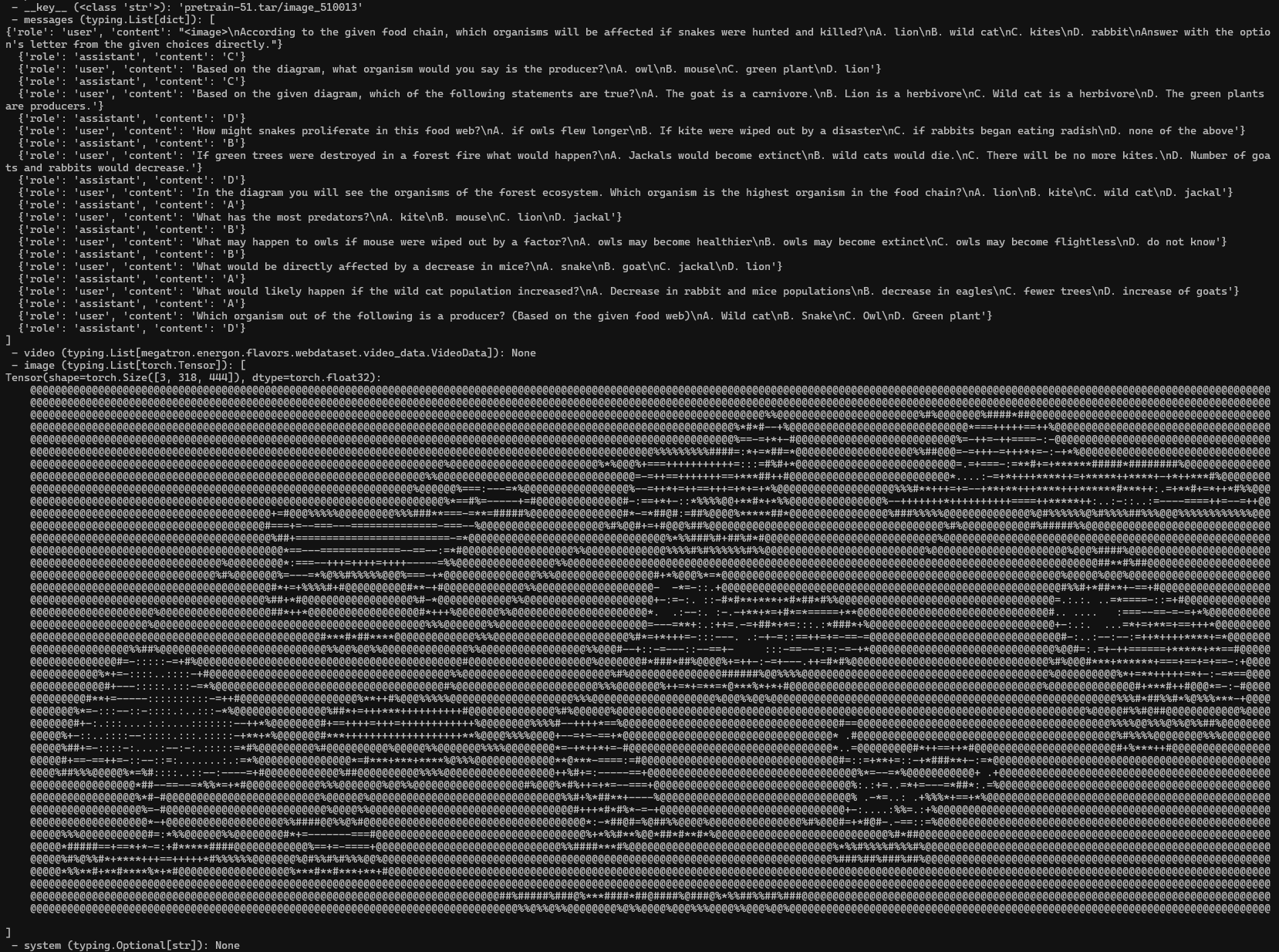 WebDataset 验证