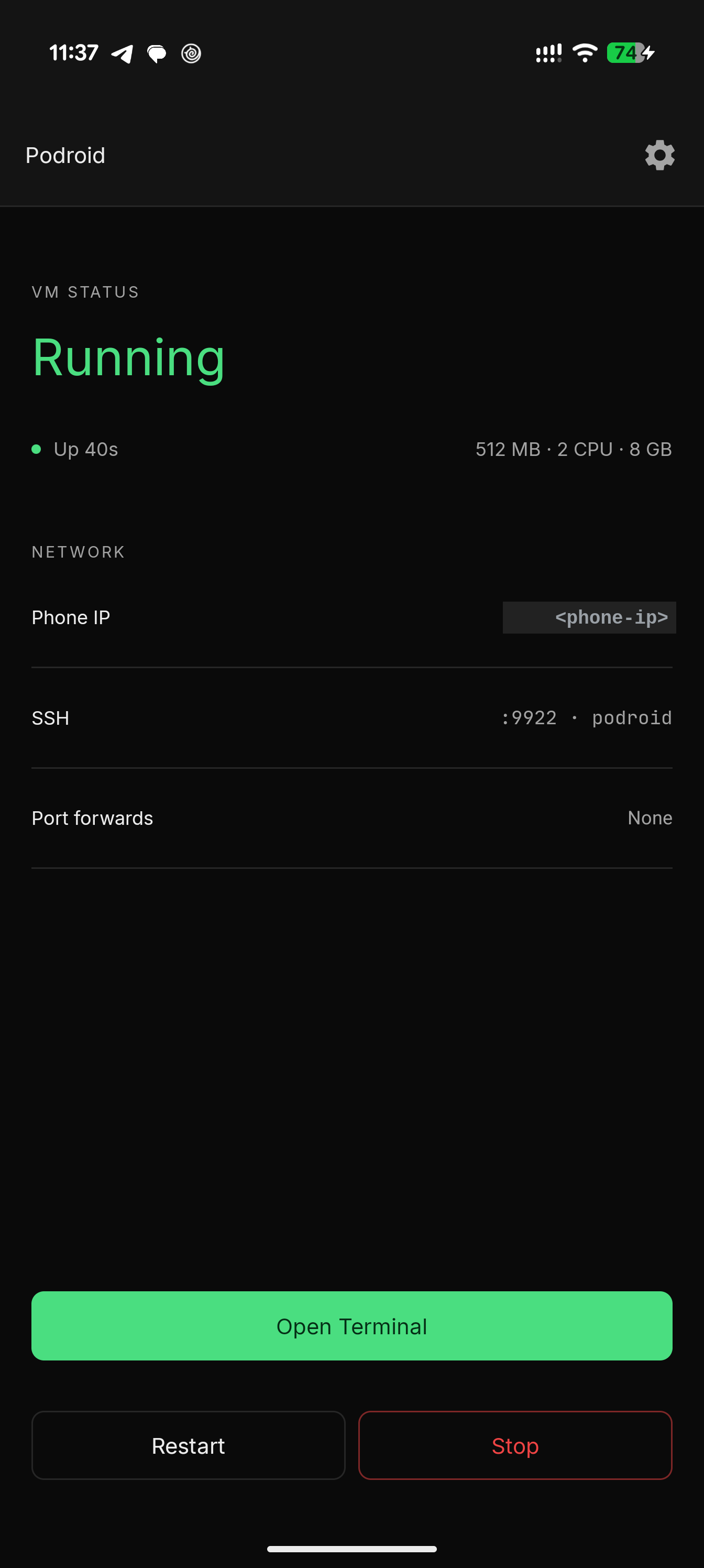 Home screen with the VM running and network info
