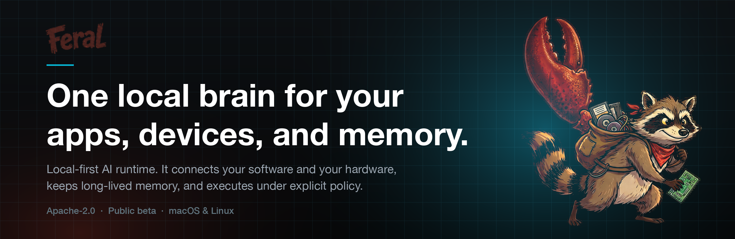 FERAL — one local brain for your apps, devices, and memory