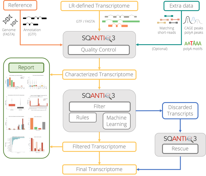 Sqanti3 workflow
