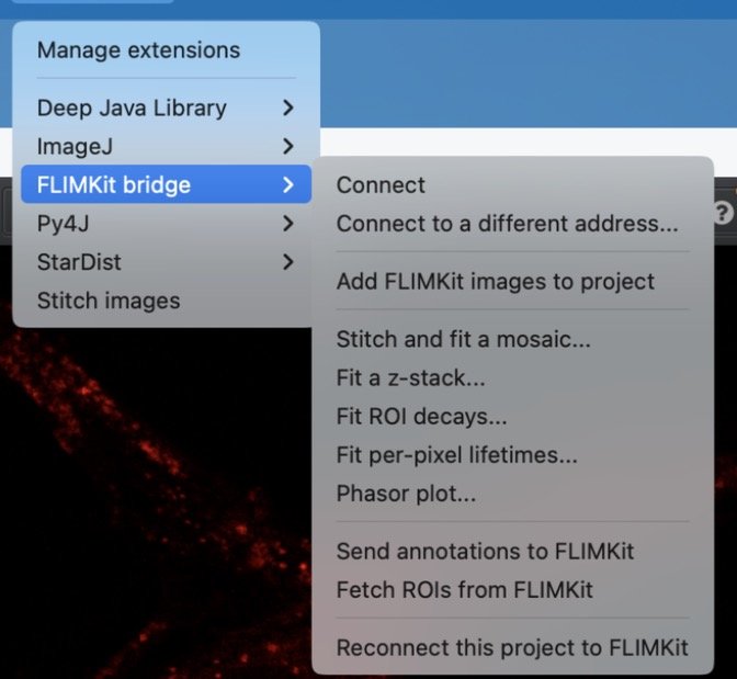 QuPath Extensions > FLIMKit bridge