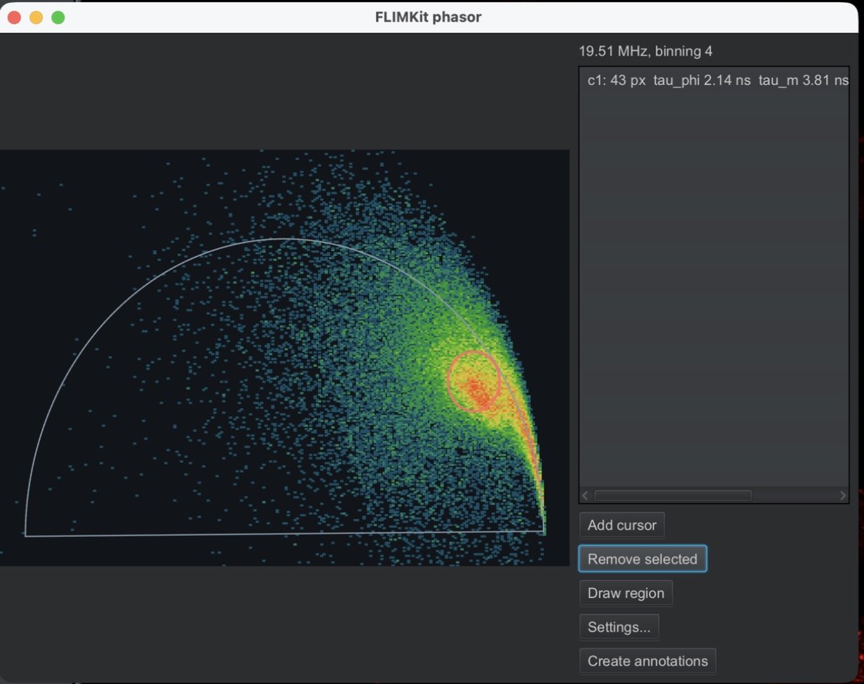 QuPath phasor window