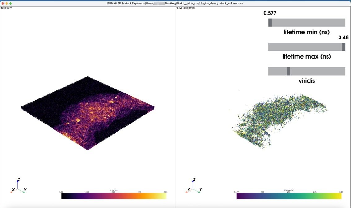 3D Z-stack Explorer