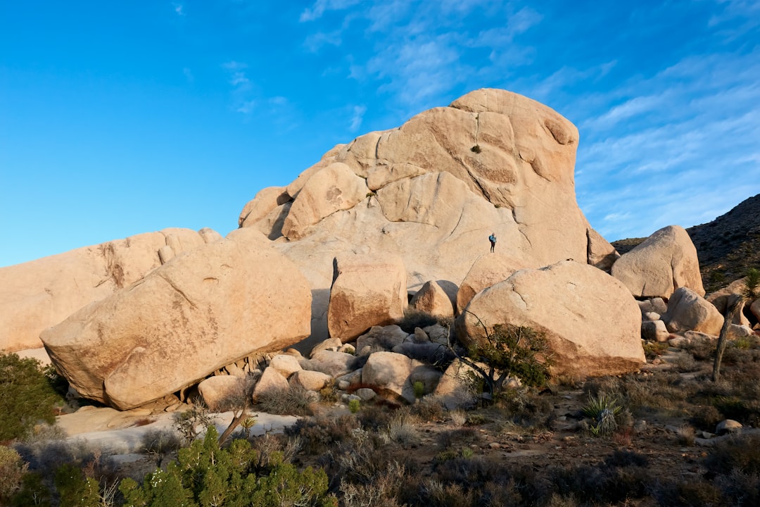 blog-image-smallcorporation