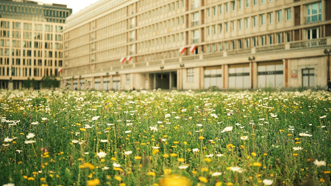 blog-image-consumerrights