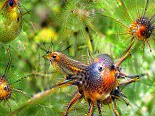 Jetson Caffe Deep Dreamer Jetson Caffe Deep Dreamer