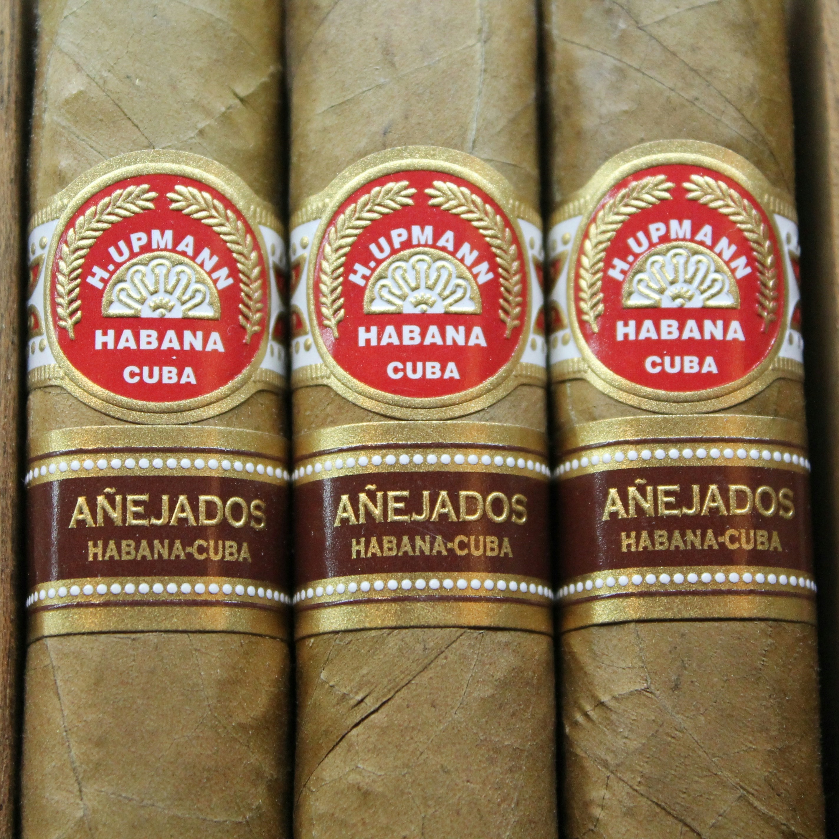 Cuban Cigar