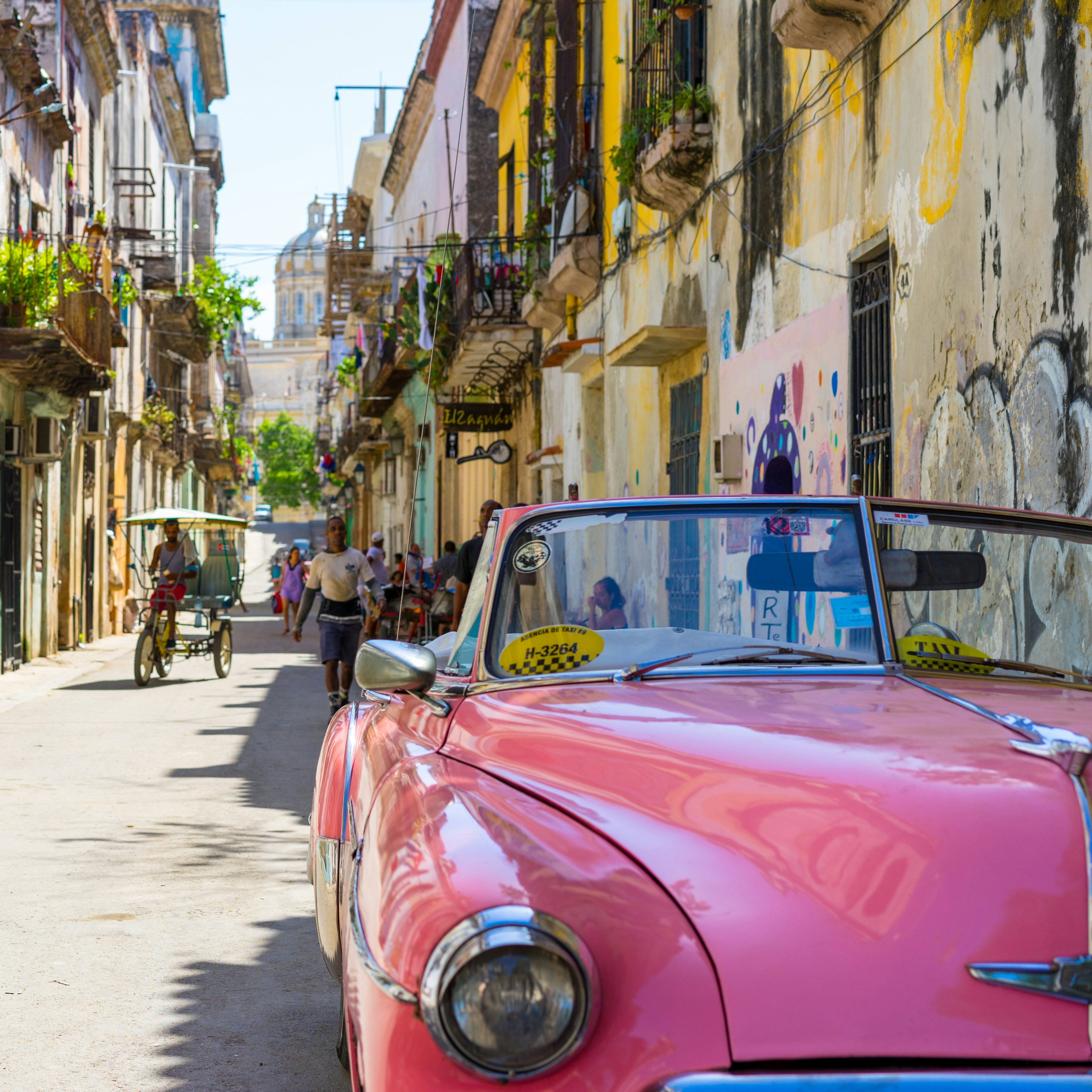 Pink Car