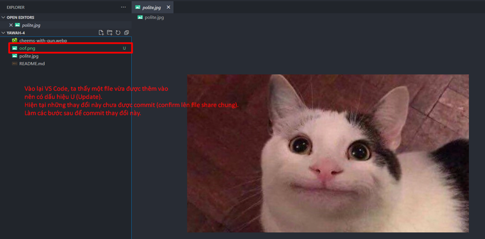 Git and Github | Hoi Sinh vien help tool
