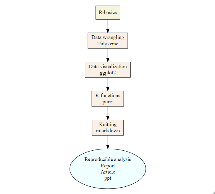 Course scheme