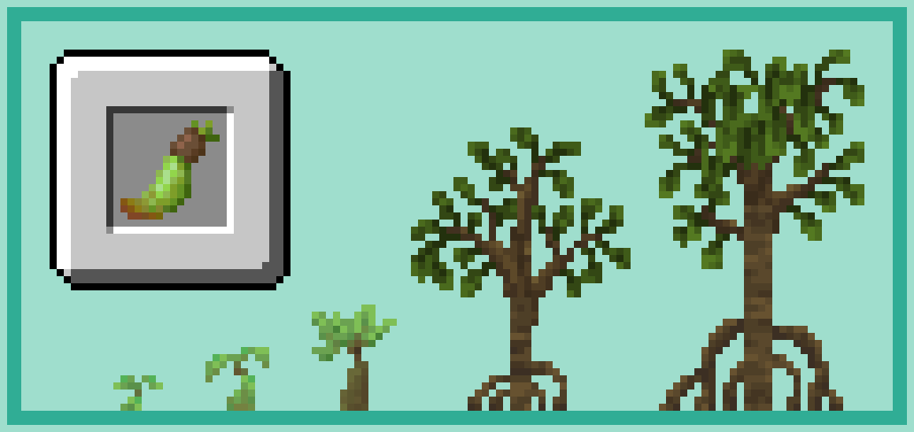 Mangrove saplings montage