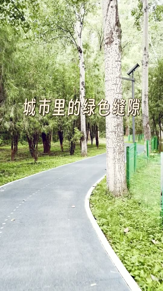 标题效果