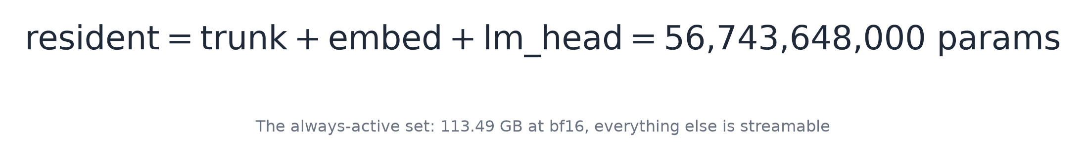 The always-active set: 113.49 GB at bf16, everything else is streamable