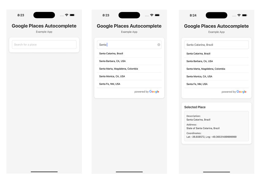 GooglePlacesAutocomplete preview