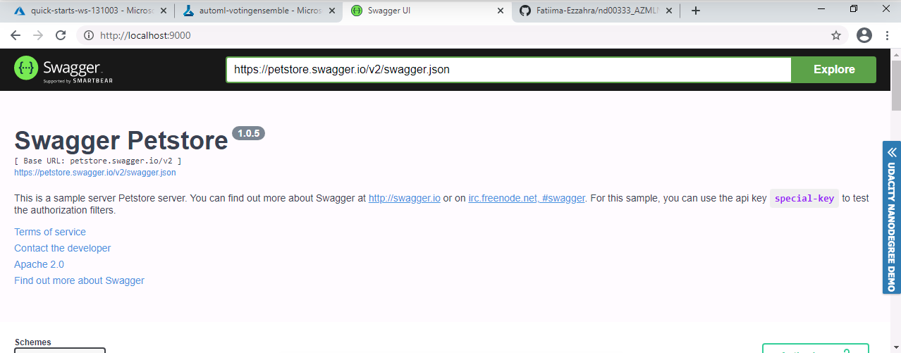 Default Swagger page