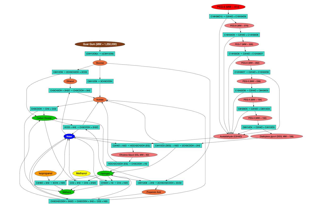 CMT Model