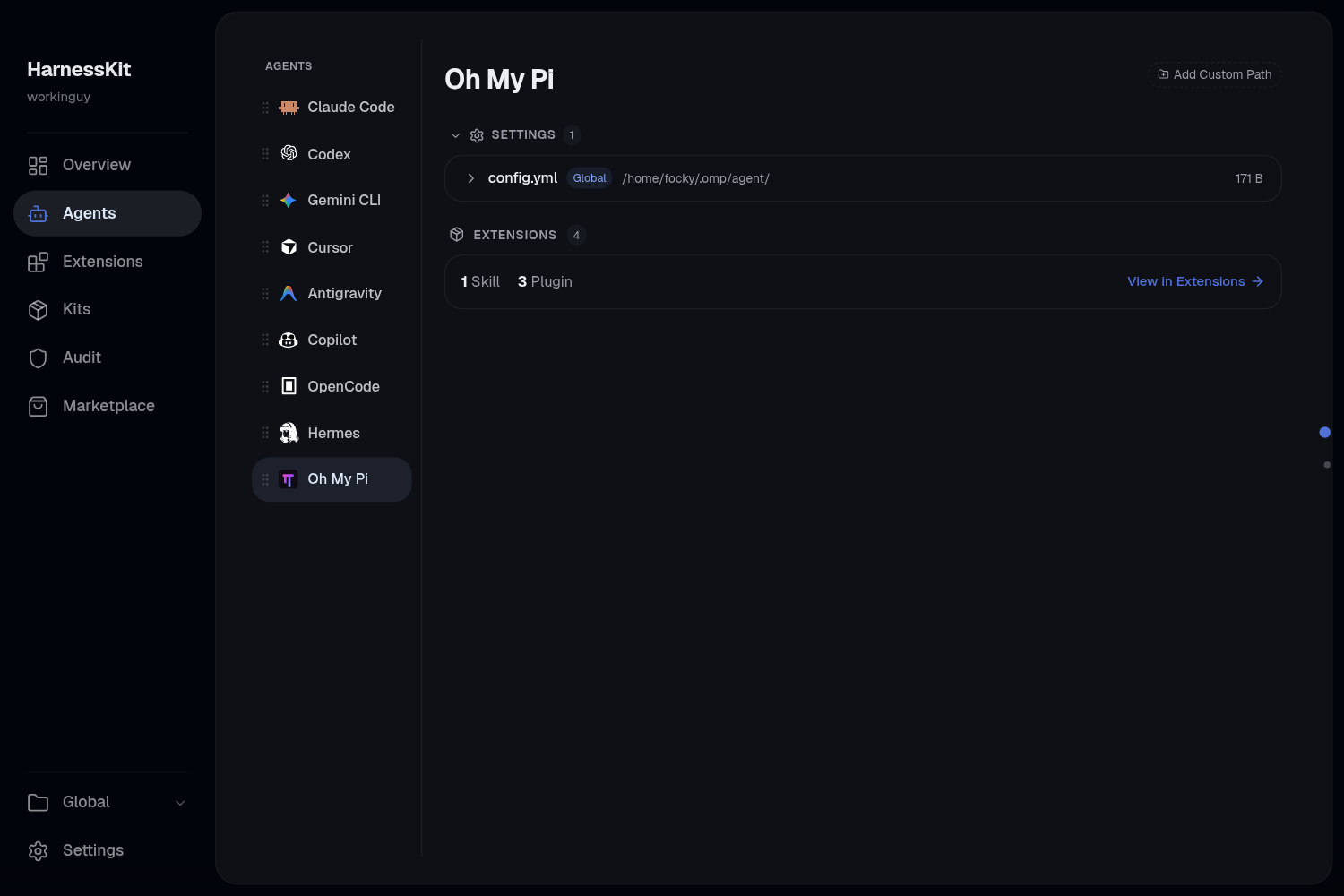 Oh My Pi agent details