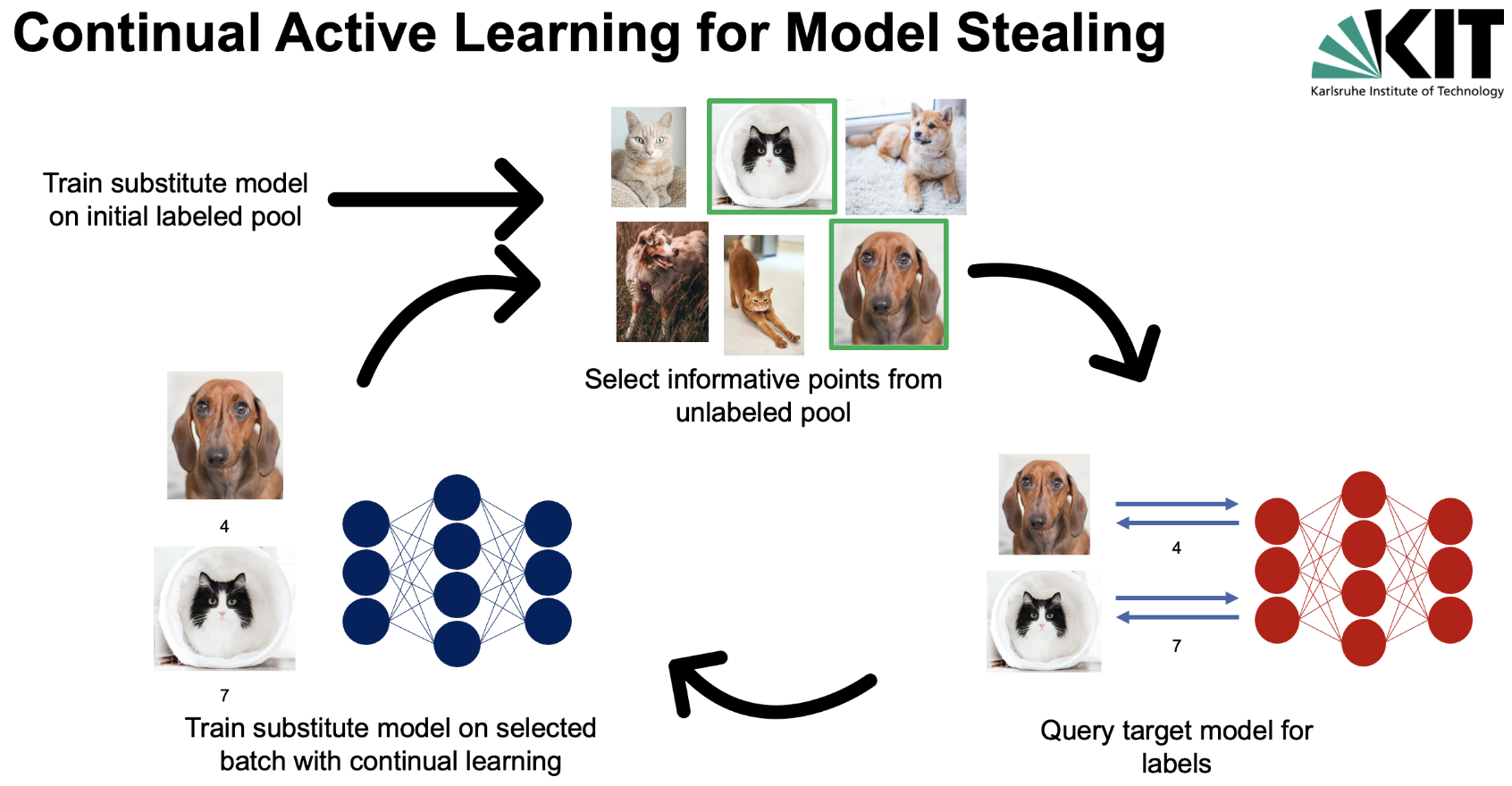 Workflow of Continual Active Learning for Model Stealing