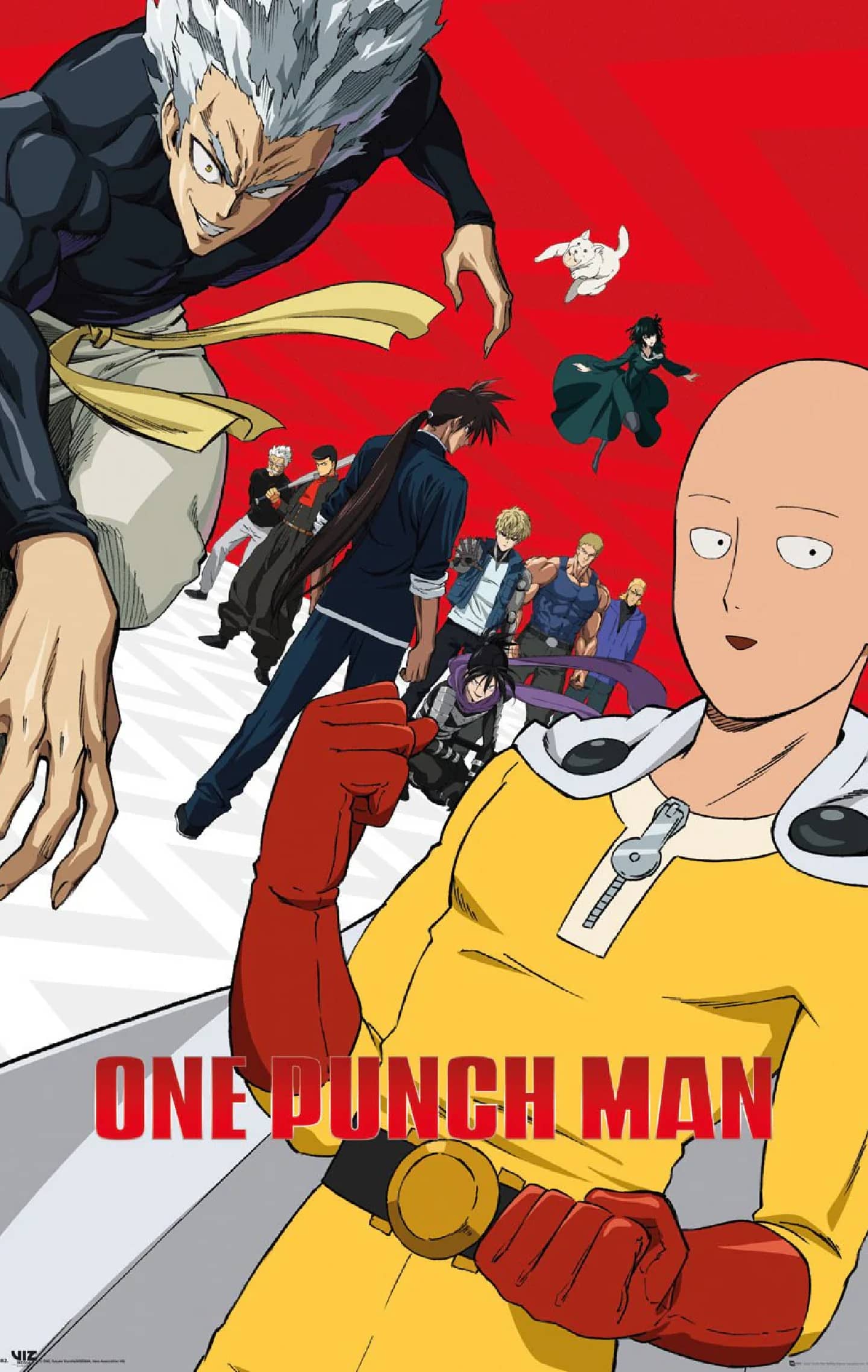 One punch man reaccion