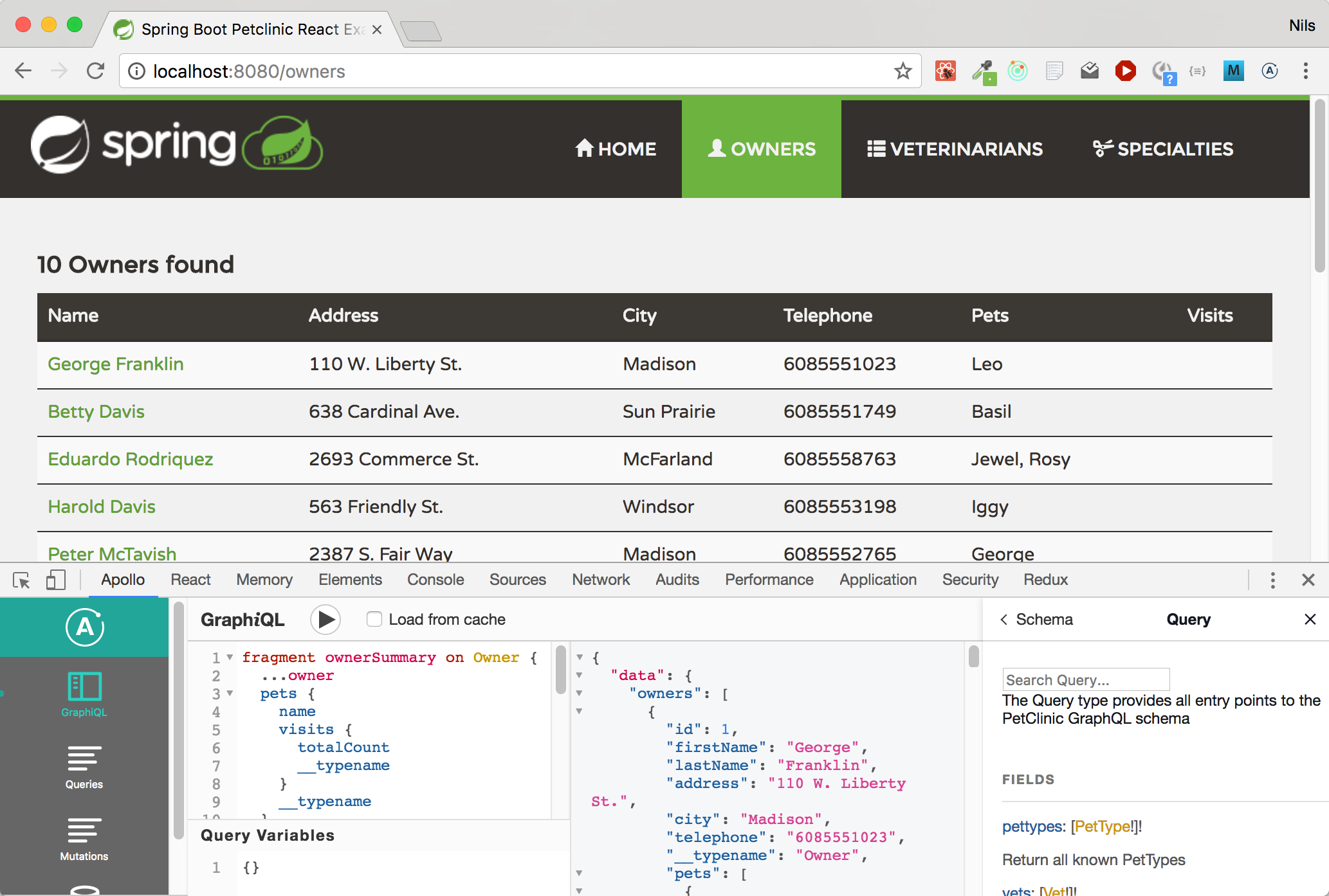 SpringBoot PetClinic, GraphQL Edition