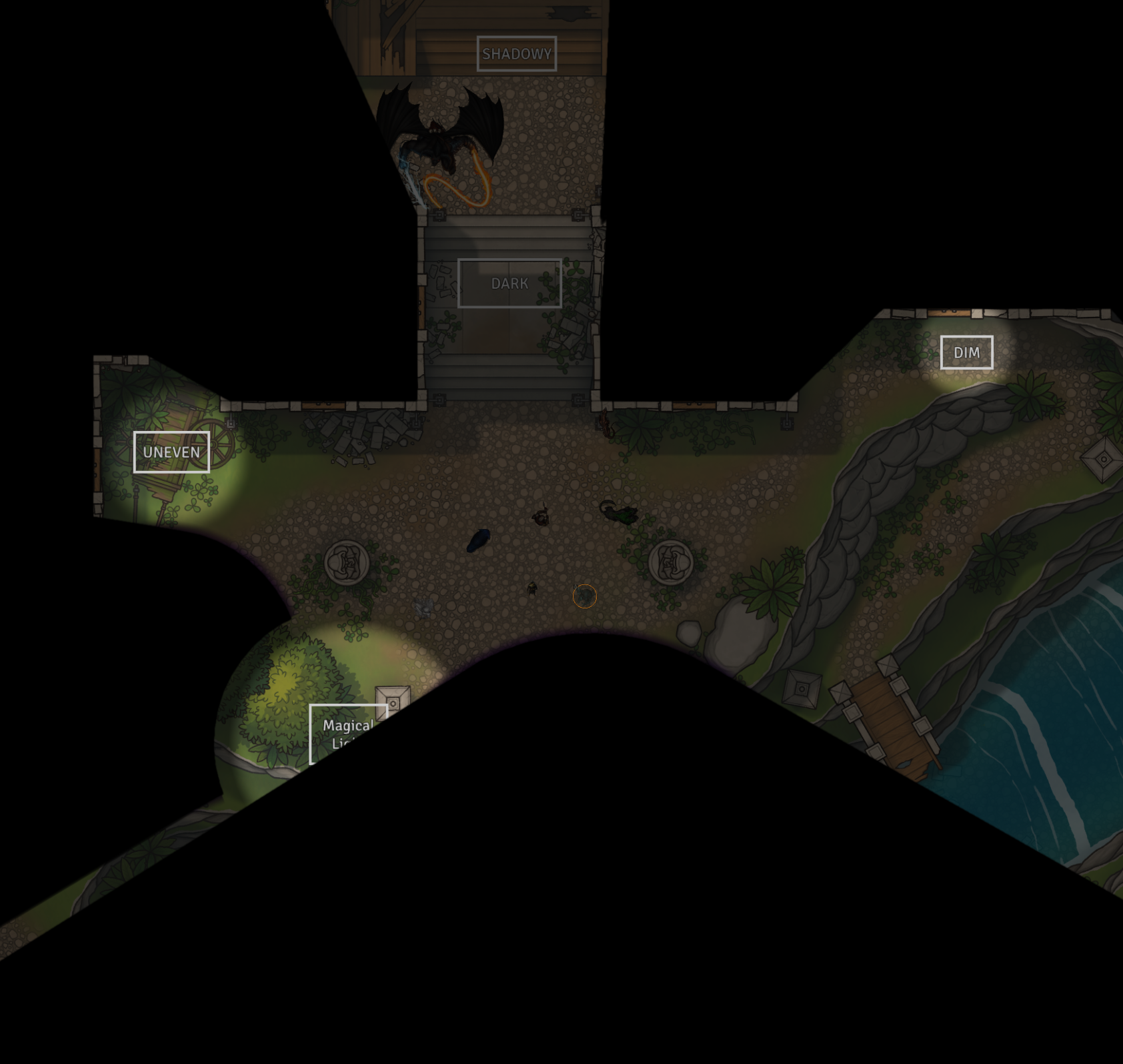 Token view Nightvision