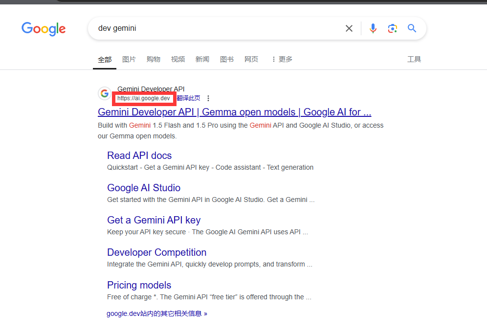 进入Google AI Studio