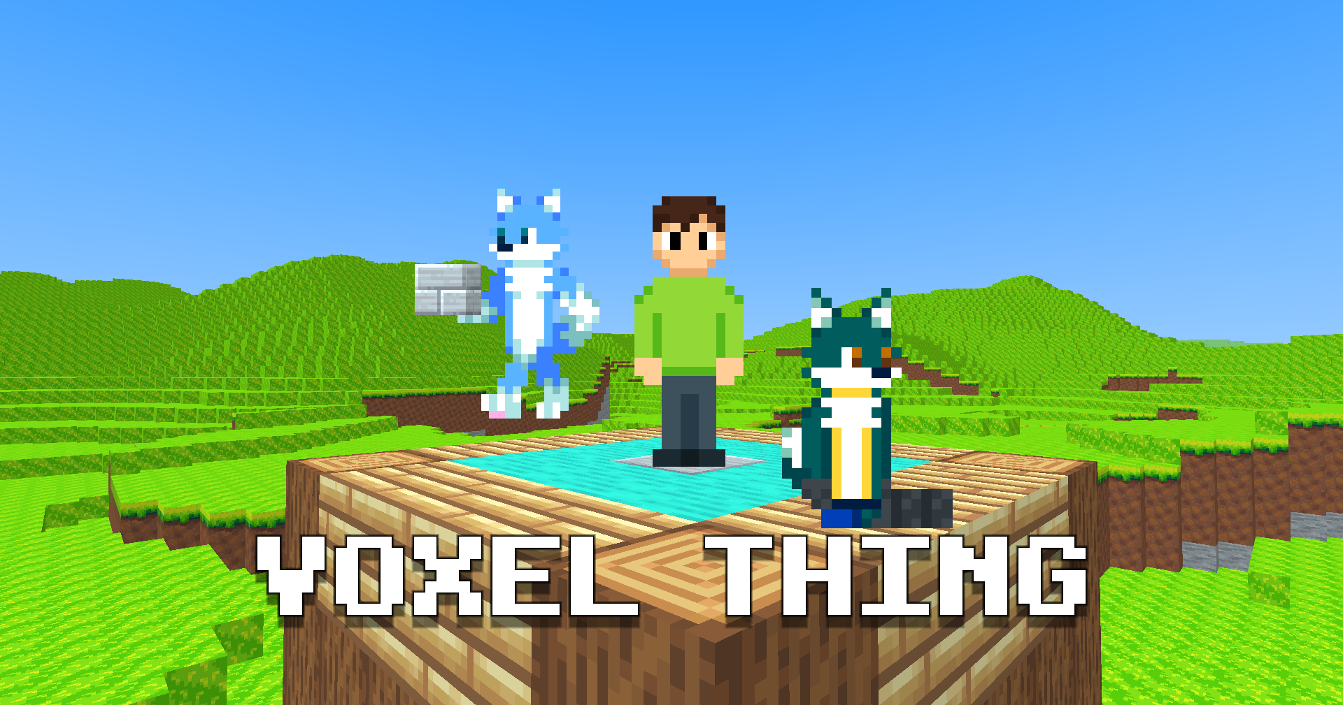 VOXEL THING