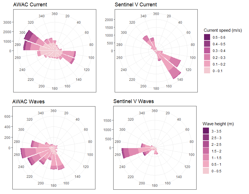 Wave rose plot