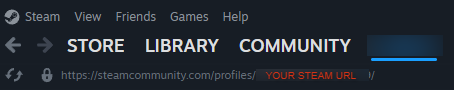 Where to find your Steam profile URL