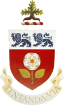 York University logo