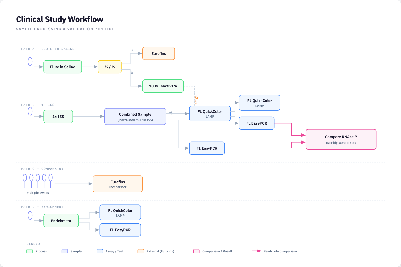 Clinical Study Workflow - Sample Processing & Validation Pipeline