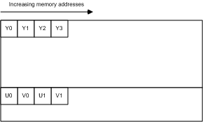 NV12 Format