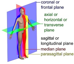 Planes overview