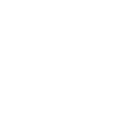 Weapons icon