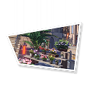 Eversummer Florist (III)