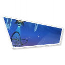 Matrix of Prescience (II)