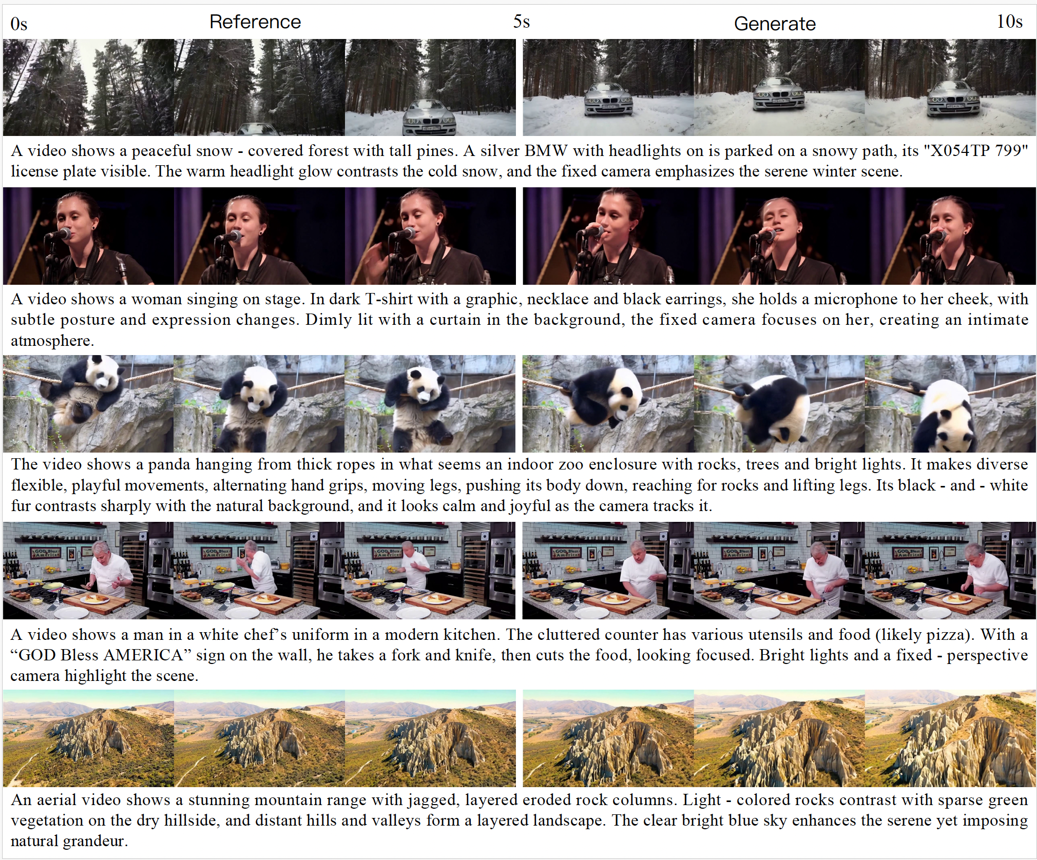 Video Extrapolation Examples