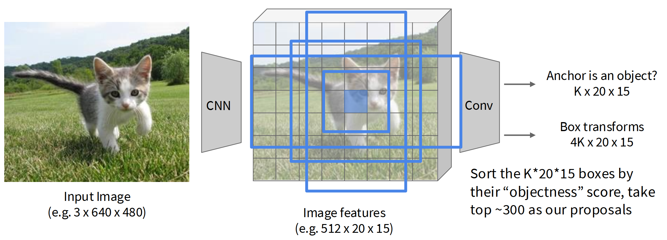 image-20260604141325687