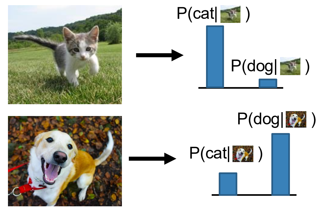 image-20260706162129509
