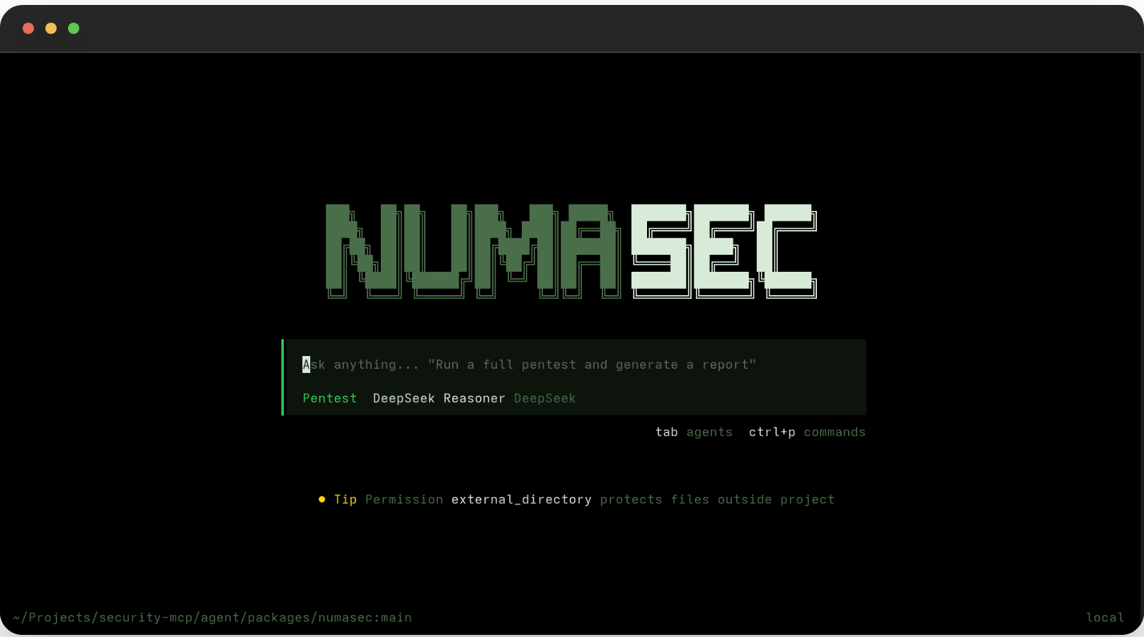 numasec running a pentest against OWASP Juice Shop