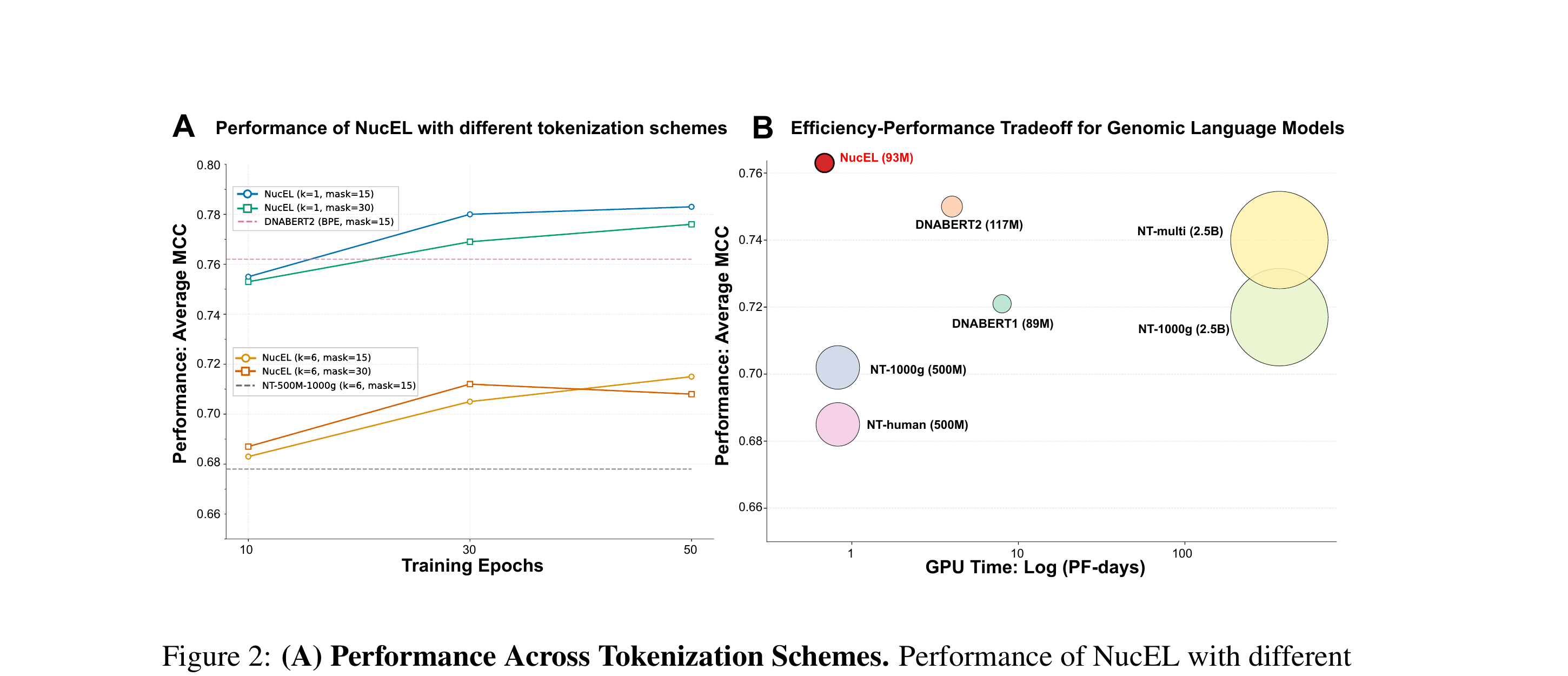 NucEL Figure 2: tokenization ablation and efficiency-performance tradeoff