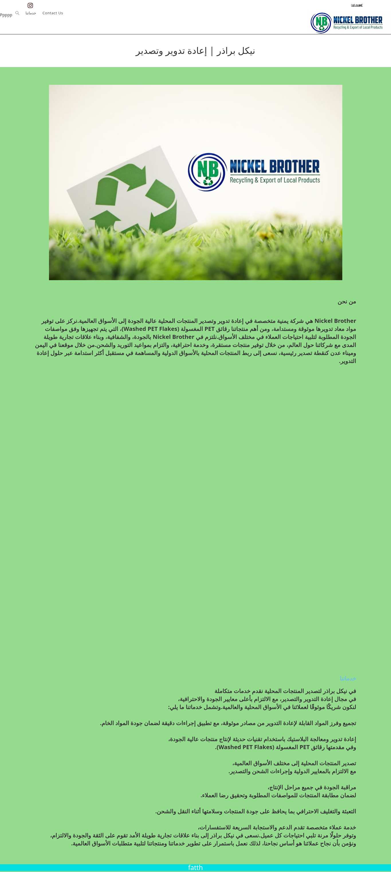 Cropped preview of the latest successful full-page screenshot for nickelbrother.com.ye
